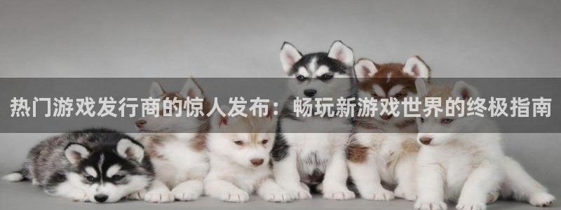 顺盈娱乐慌 692687：热门游戏发行商的惊人发布：畅玩新游戏世界的终极指南