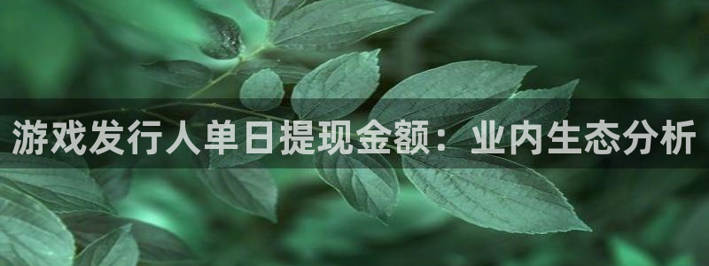 顺盈娱乐平台最新活动消息：游戏发行人单日提现金额：业内生态分析