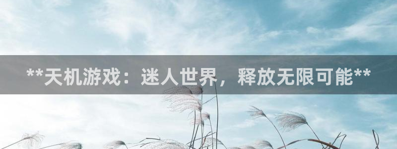 顺赢是什么意思：**天机游戏：迷人世界，释放无限可能**