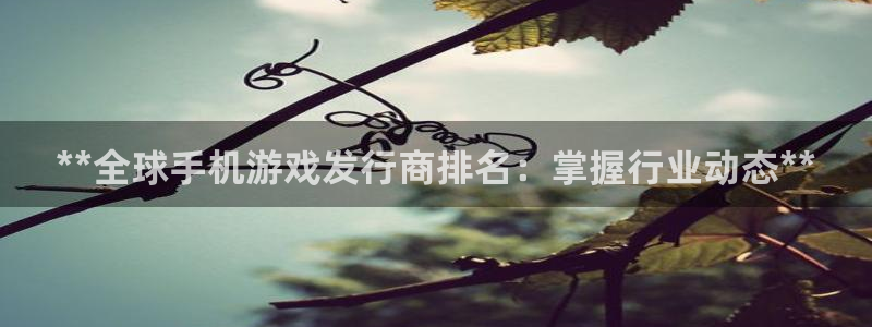 顺赢国际游戏：**全球手机游戏发行商排名：掌握行业动态**