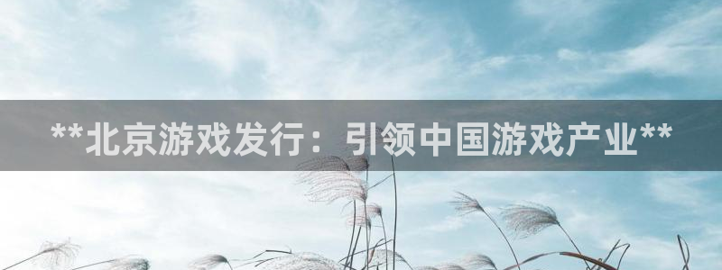 顺盈国际下载安装：**北京游戏发行：引领中国游戏产业**