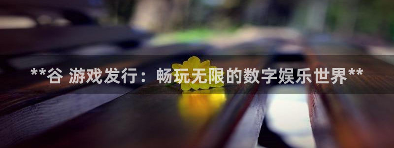 顺盈平台主管