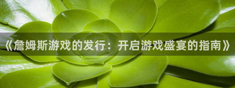 顺盈娱乐官网首页登录入口：《詹姆斯游戏的发行：开启游戏盛宴的指南》
