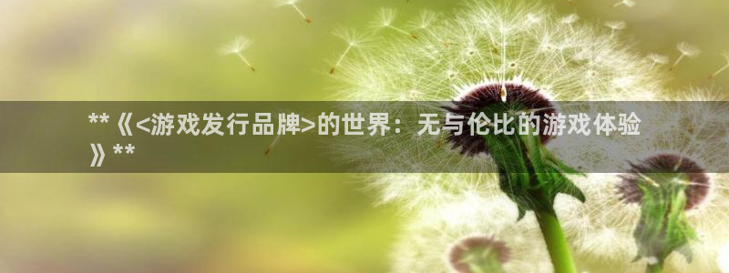 顺盈娱乐平台：**《<游戏发行品牌>的世界：无与伦比的游戏体验
》**