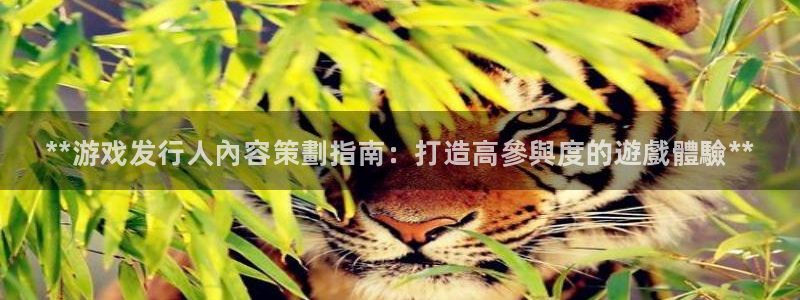 顺盈娱乐登录平台是什么软件呀：**游戏发行人內容策劃指南：打造高參與度的遊戲體驗**