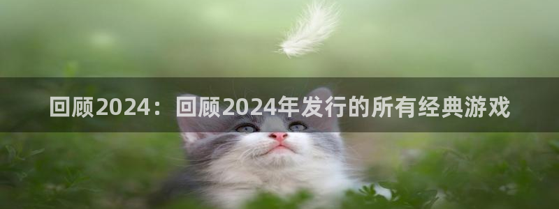 顺盈国际下载安装