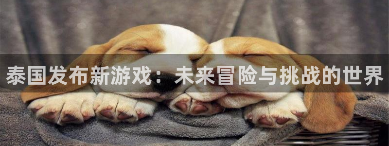 顺盈娱乐平台注册流程视频下载：泰国发布新游戏：未来冒险与挑战的世界