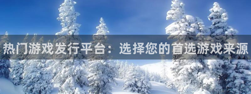 顺盈娱乐的员工待遇怎么样：热门游戏发行平台：选择您的首选游戏来源