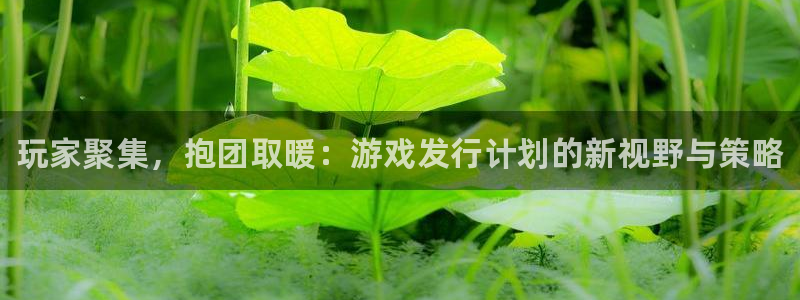 顺盈娱乐平台注册流程图片：玩家聚集，抱团取暖：游戏发行计划的新视野与策略