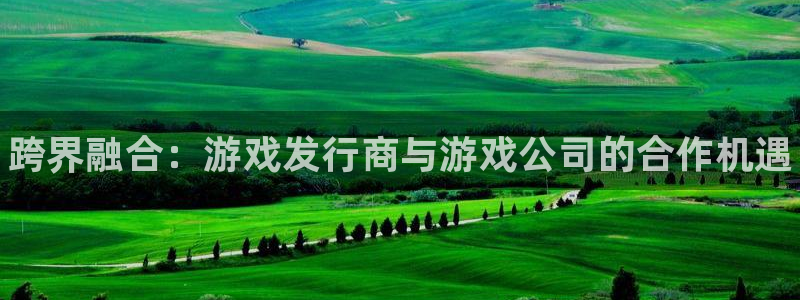 顺赢国际游戏：跨界融合：游戏发行商与游戏公司的合作机遇