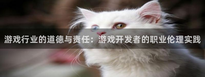 顺盈平台注册流程视频