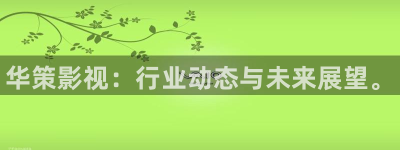 自由天空电影：华策影视：行业动态与未来展望。