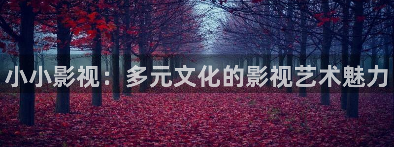 热血街区电影版2:天空尽头：小小影视：多元文化的影视艺术魅力