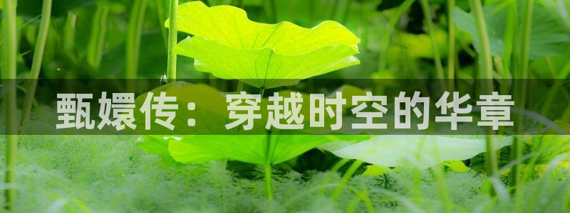 天空2023电影：甄嬛传：穿越时空的华章