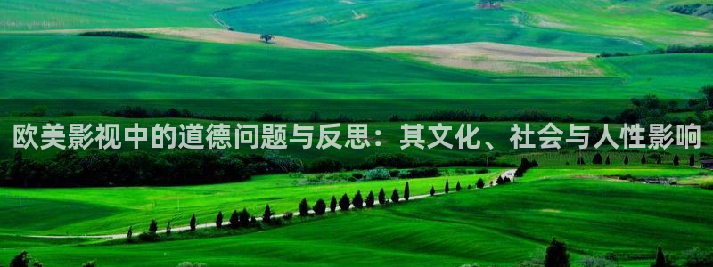 牛仔的天空在线观看：欧美影视中的道德问题与反思：其文化、社会与人性影响