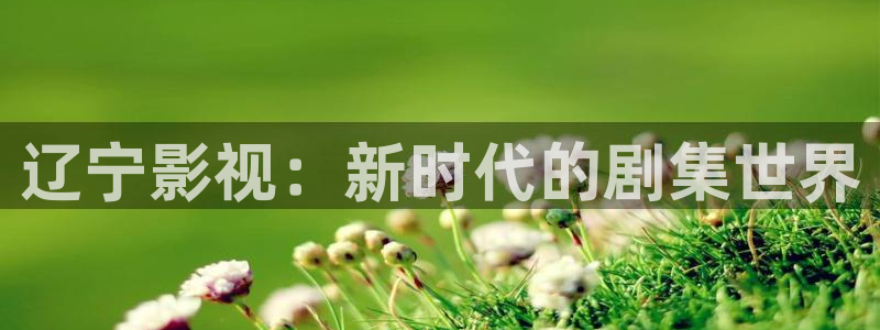 缘分的天空全集免费观看下载：辽宁影视：新时代的剧集世界