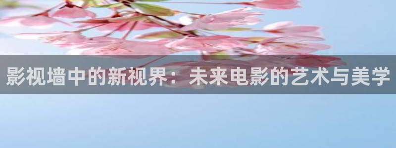 天空之蜂 电影：影视墙中的新视界：未来电影的艺术与美学