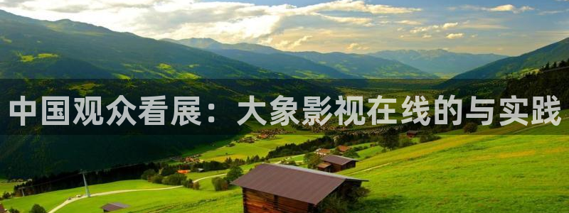天空片：中国观众看展：大象影视在线的与实践