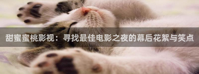 缘分的天空免费在线观看：甜蜜蜜桃影视：寻找最佳电影之夜的幕后花絮与笑点